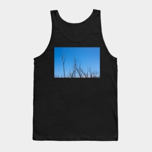 Bare branches Tank Top